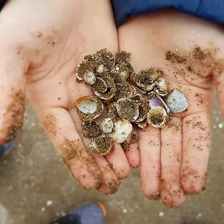 Princess Of Oezalp *