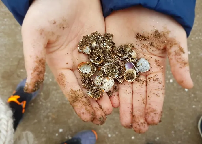 Princess Of Oezalp *